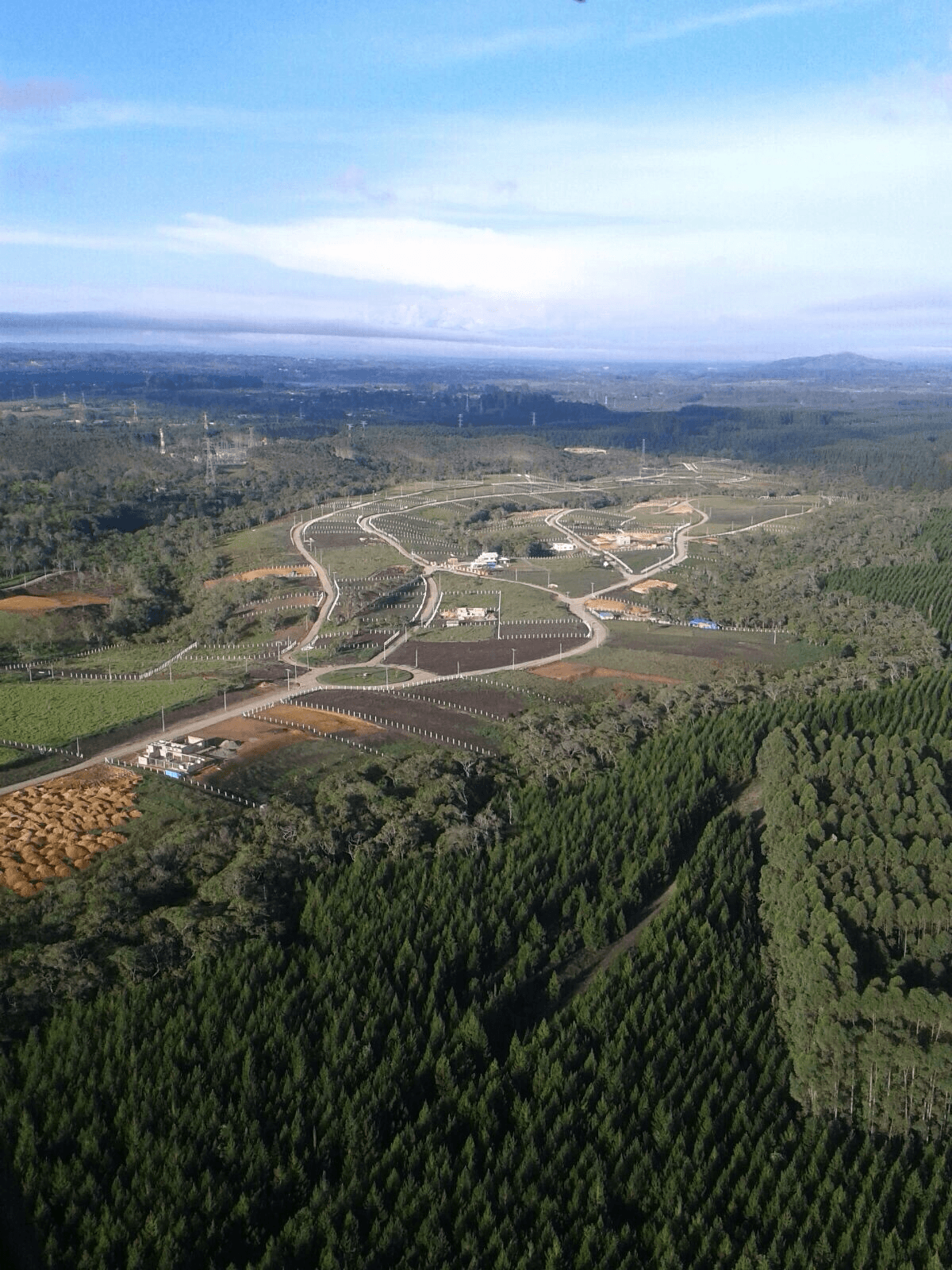 Bosque representando el compromiso ambiental de Constructora Ciudad Verde