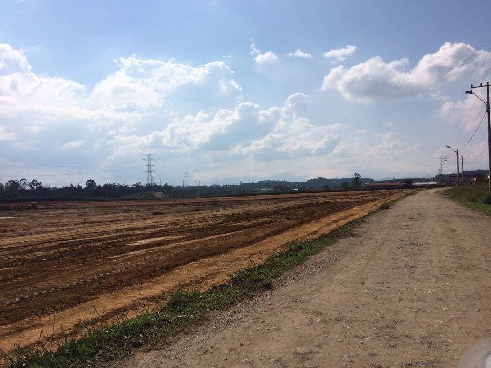 Ciudad Verde imagen 11