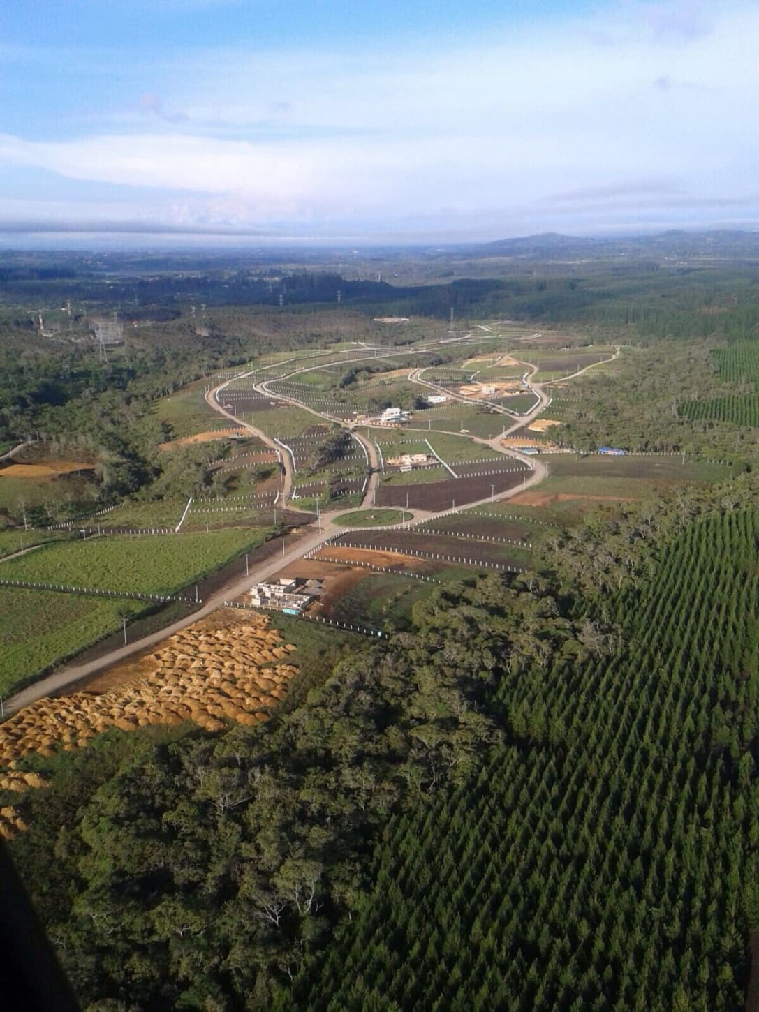 Ciudad Verde imagen 8