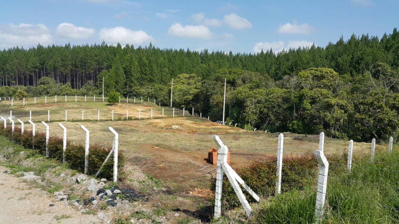 Ciudad Verde imagen 9